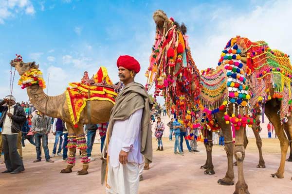 udaipur Day tours